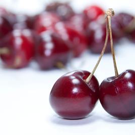 Cherry Menthol Lip Balm (3 Pack)